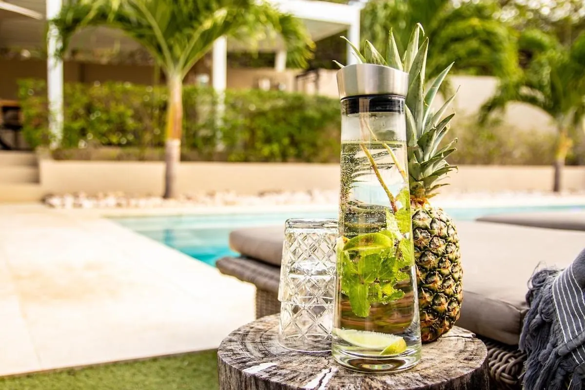 Villa Leon Spacious Tropical Villa With Pool And Outdoor Kitchen Jan Thiel