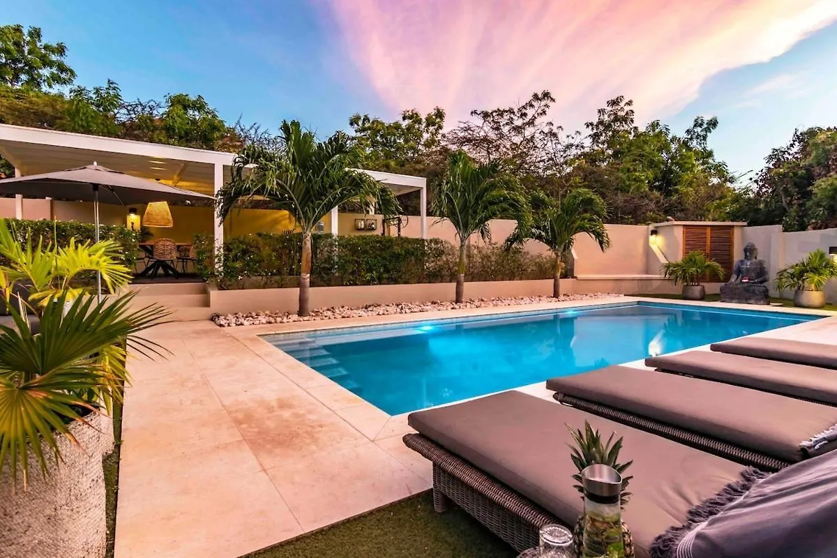 Villa Leon Spacious Tropical Villa With Pool And Outdoor Kitchen Jan Thiel