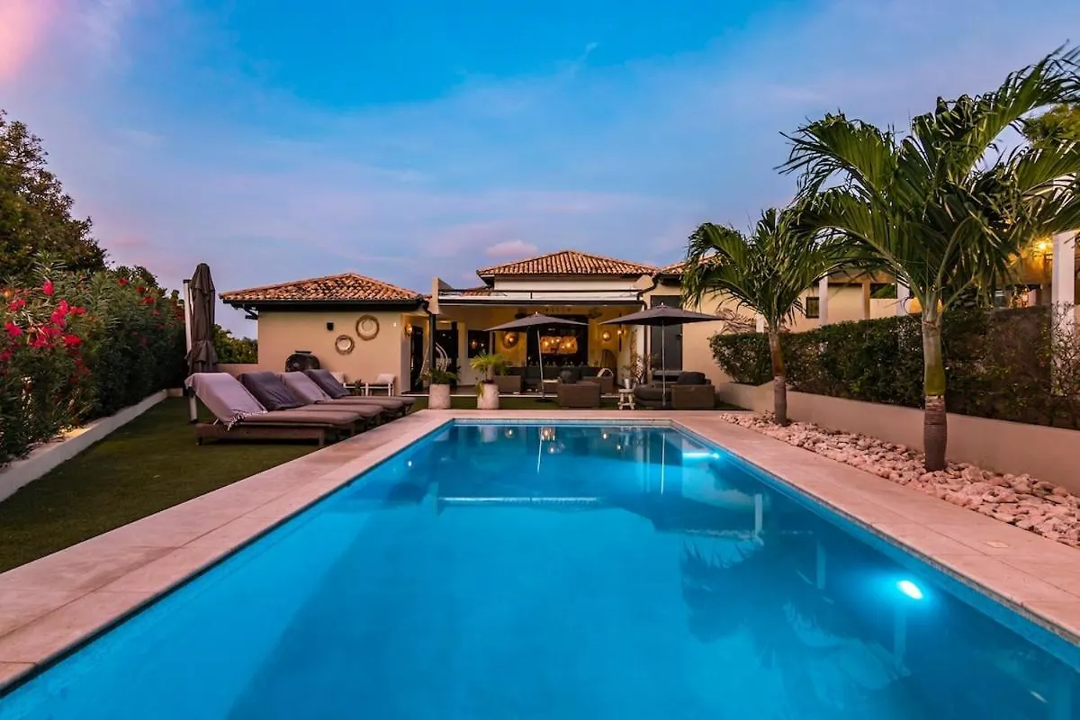 Villa Leon Spacious Tropical Villa With Pool And Outdoor Kitchen Jan Thiel